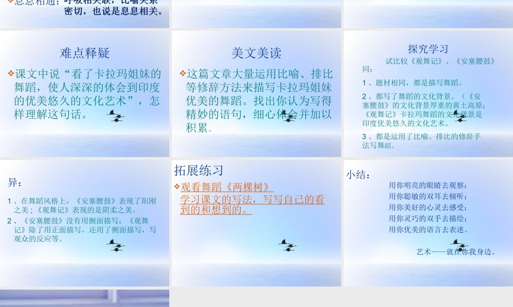 中学七年级语文下册(第19课 观舞记)课件2 新人教版 课件