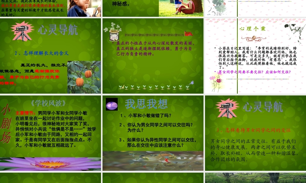 中学七年级政治上册 4.2 感悟青春课件 新人教版 课件