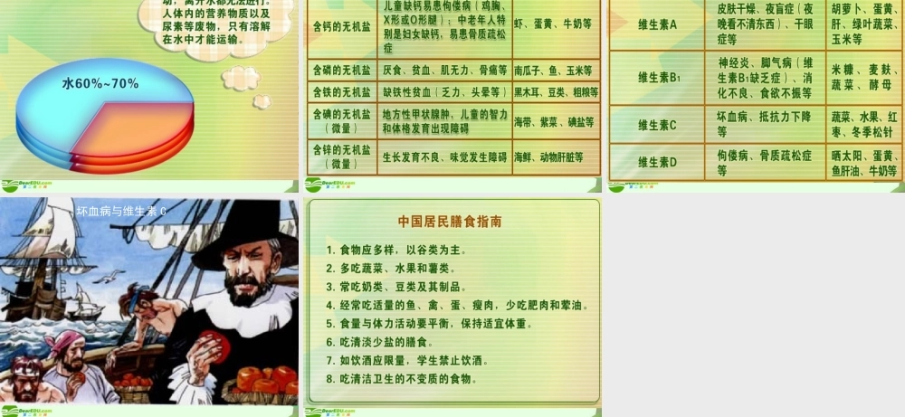 七年级生物下册 食物中的营养物质课件 人教新课标版 课件