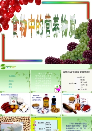 七年级生物下册 食物中的营养物质课件 人教新课标版 课件