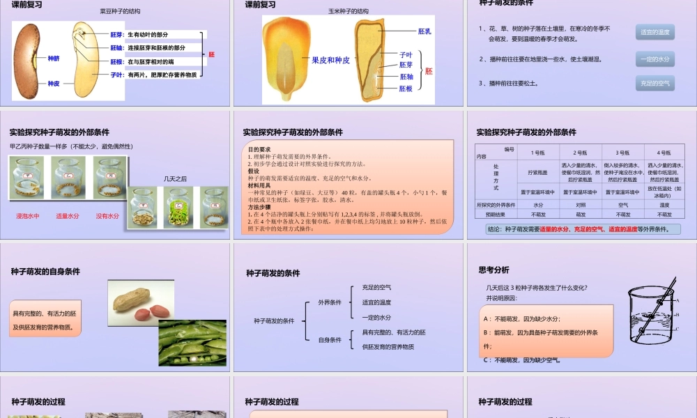 八年级生物上册 第四单元 物种的延续 第一章 绿色开花植物的一生 第四节 种子的萌发课件(新版)济南版 课件