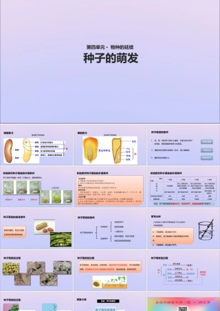八年级生物上册 第四单元 物种的延续 第一章 绿色开花植物的一生 第四节 种子的萌发课件(新版)济南版 课件