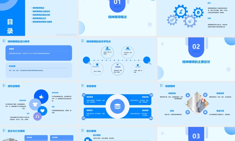 精神障碍的症状学(本)课件