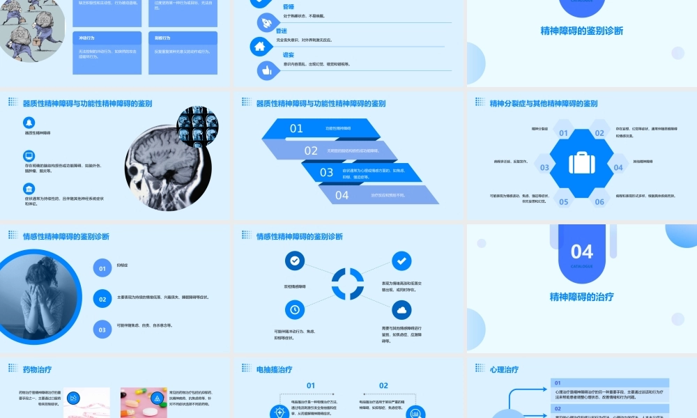 精神障碍的症状学(本)课件