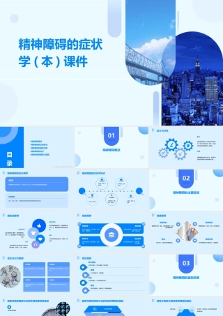 精神障碍的症状学(本)课件