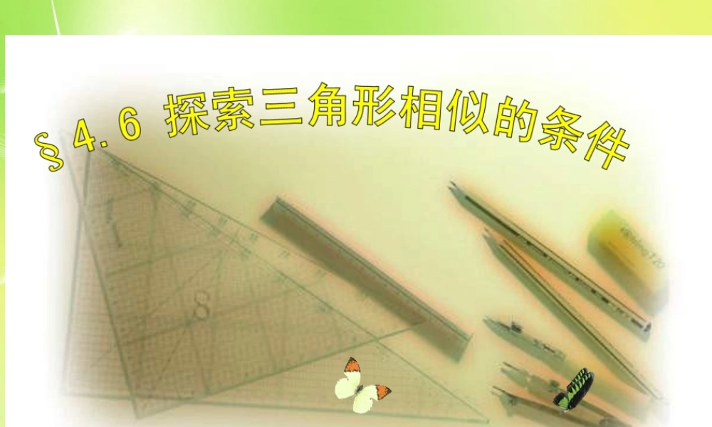 八年级数学下册 4.6 探索三角形相似的条件(一)课件 北师大版 课件