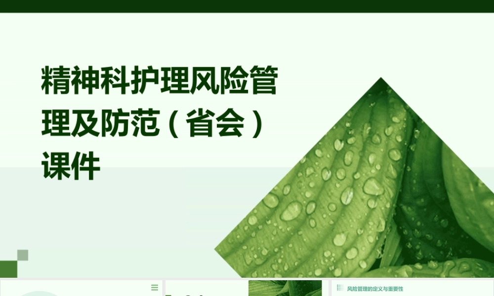 精神科护理风险管理及防范(省会)课件