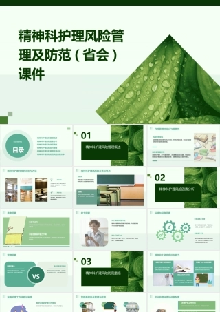 精神科护理风险管理及防范(省会)课件