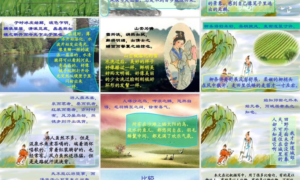 八年级语文满井游记课件4语文版 课件