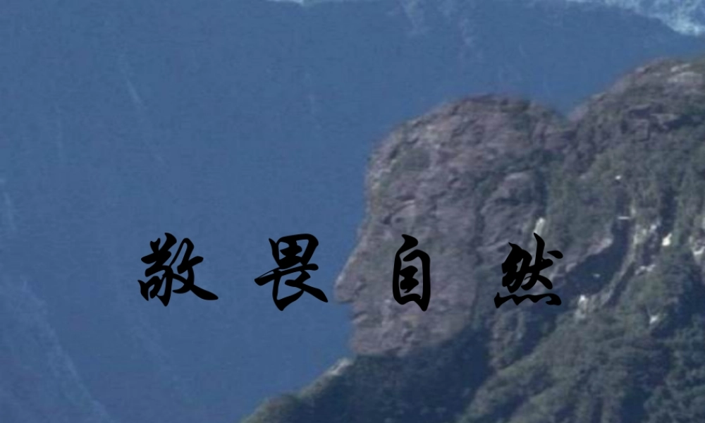 八年级语文下册敬畏自然课件人教版 课件