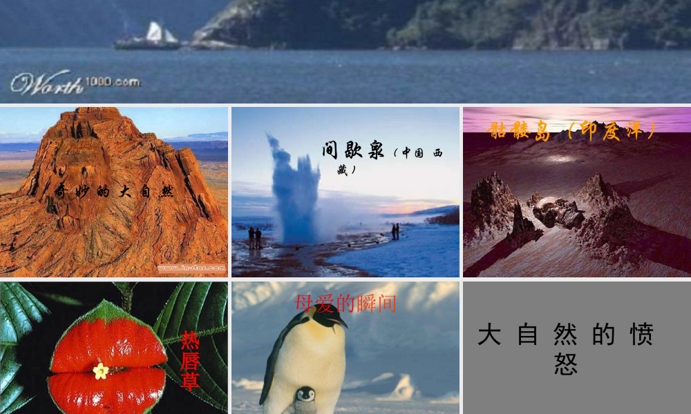 八年级语文下册敬畏自然课件人教版 课件