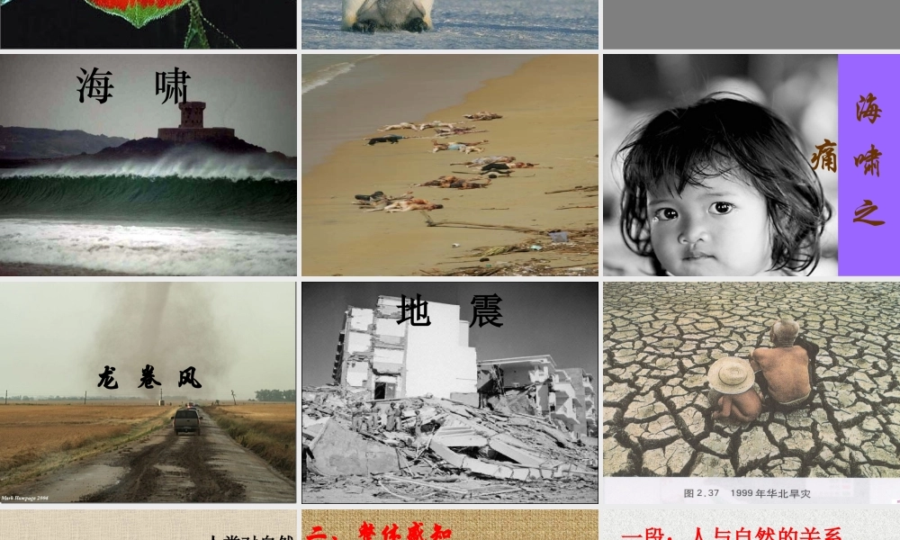 八年级语文下册敬畏自然课件人教版 课件