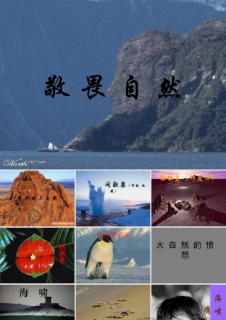 八年级语文下册敬畏自然课件人教版 课件