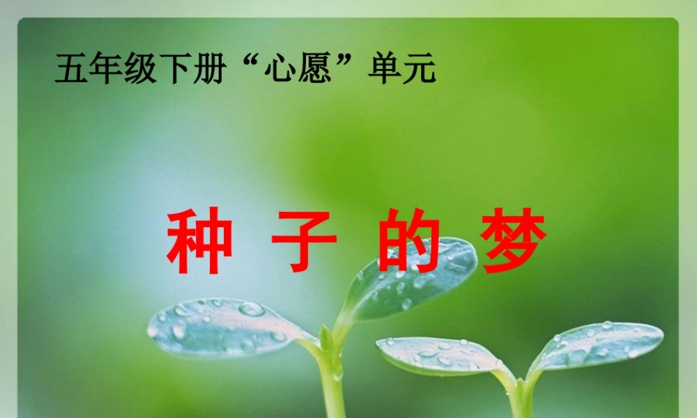 种子的梦课件 (2)