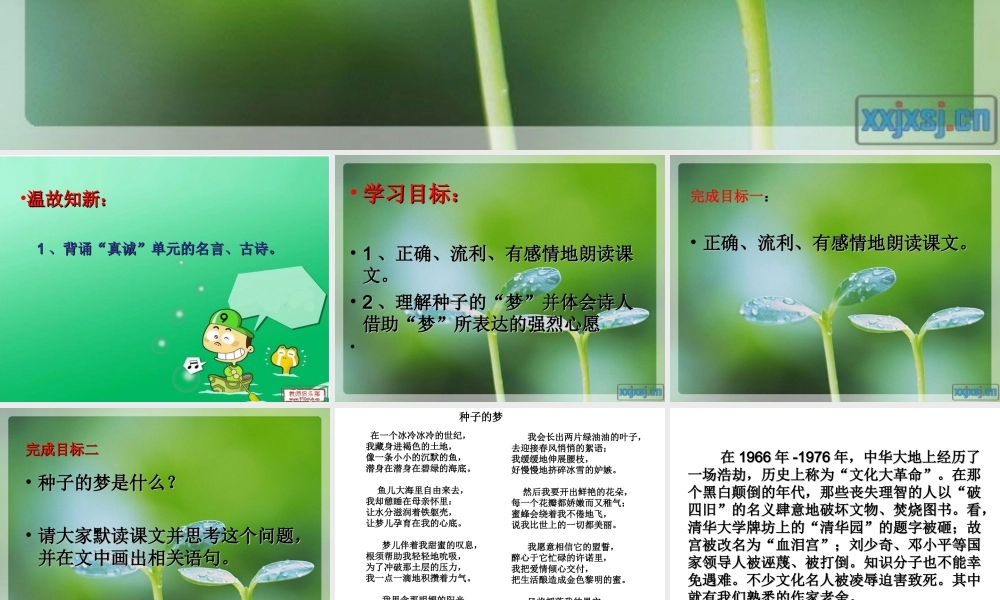 种子的梦课件 (2)