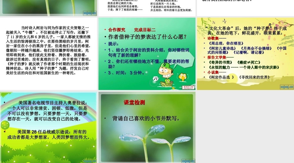 种子的梦课件 (2)