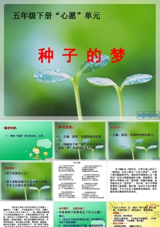 种子的梦课件 (2)