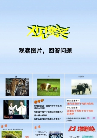 八年级生物下册 第一节基因控制性状课件 人教新课标版 课件