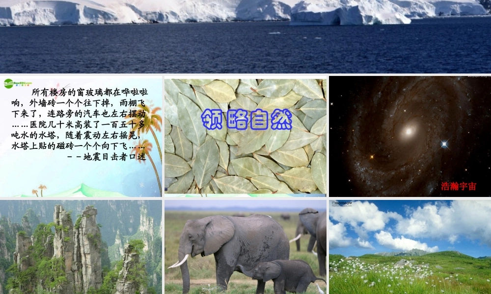 八年级语文下册(敬畏自然)课件 人教新课标版 课件