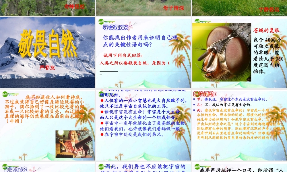 八年级语文下册(敬畏自然)课件 人教新课标版 课件