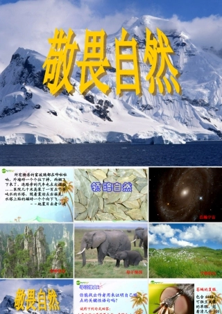八年级语文下册(敬畏自然)课件 人教新课标版 课件