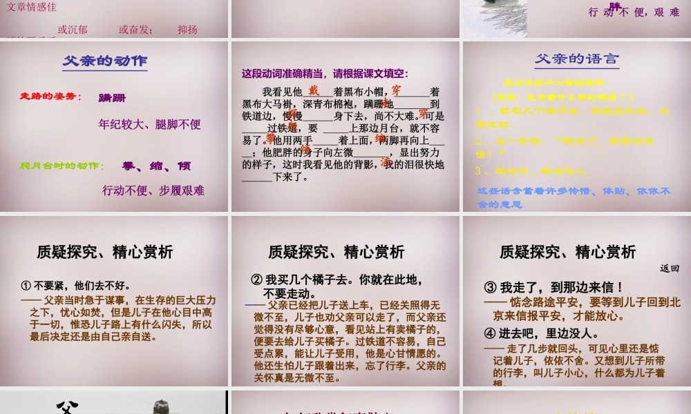 八年级语文上册 第7课(背影)课件1 新人教版 课件