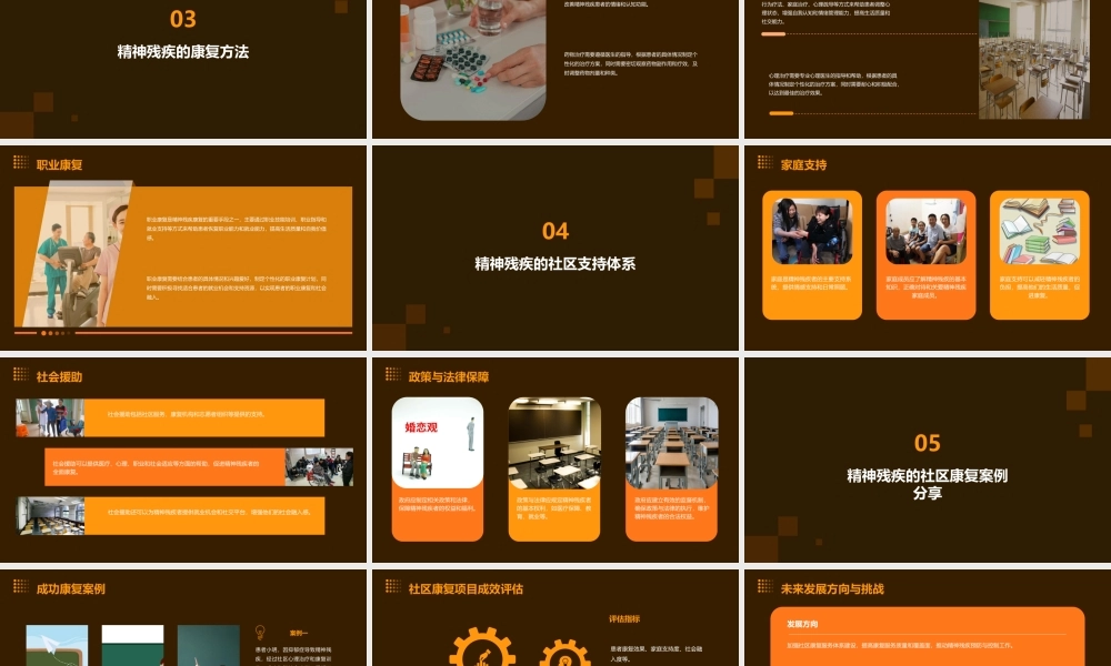 精神残疾的社区防治与康复课件