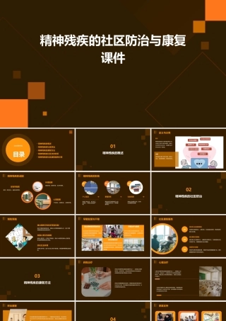 精神残疾的社区防治与康复课件