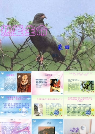 九年级语文热爱生命课件示例 鄂教版 课件