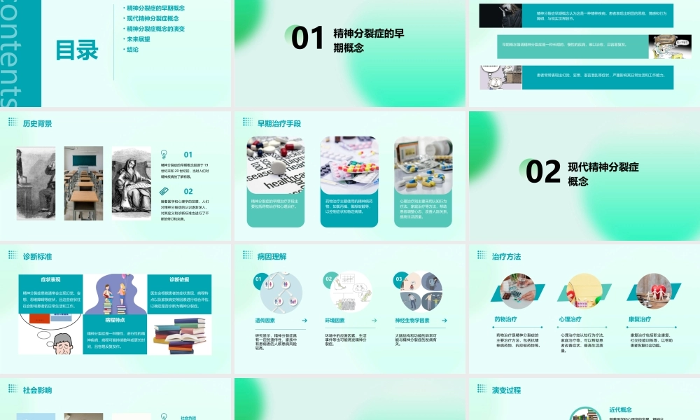 精神分裂症概念的演变课件