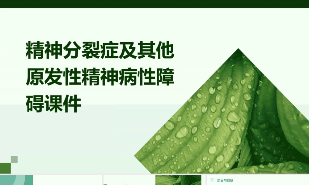 精神分裂症及其他原发性精神病性障碍课件