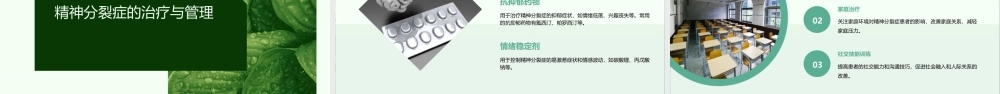 精神分裂症及其他原发性精神病性障碍课件