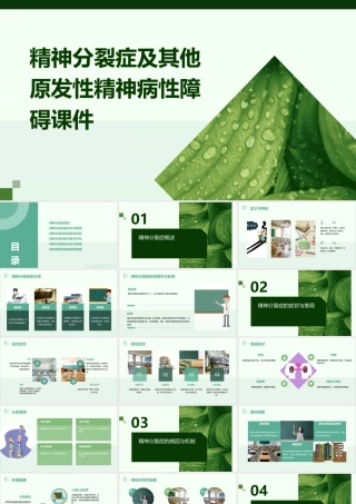 精神分裂症及其他原发性精神病性障碍课件