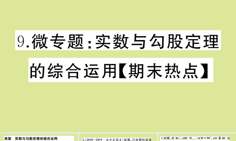 八年级数学上册 第二章 实数 微专题：实数与勾股定理的综合运用作业课件 (新版)北师大版 课件