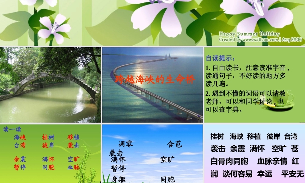 跨越海峡的生命桥4