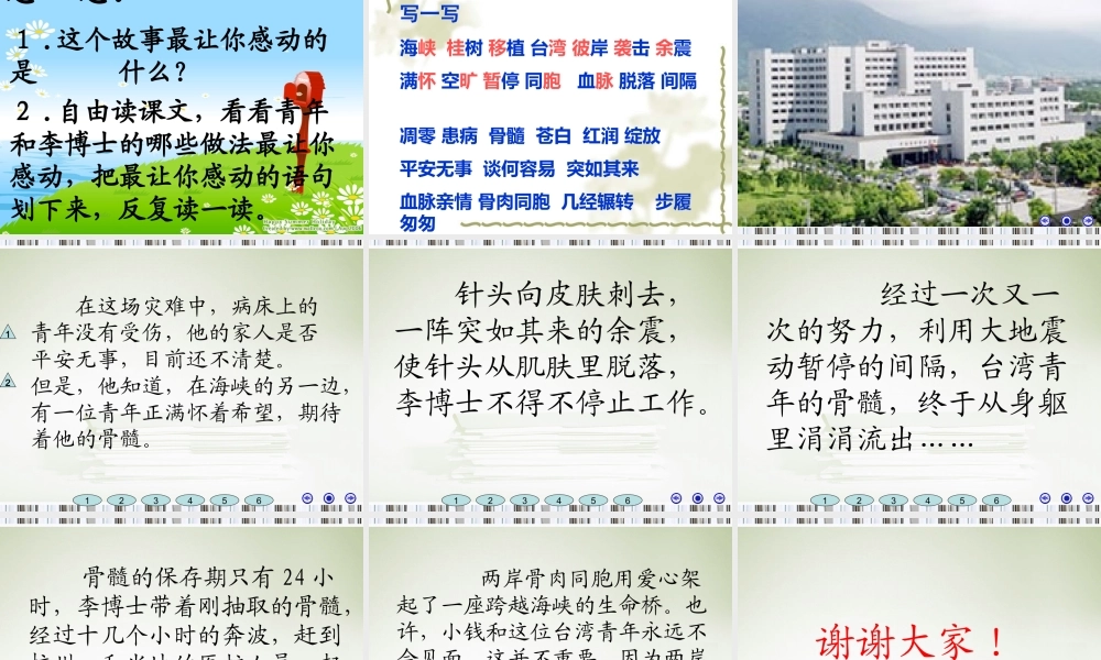 跨越海峡的生命桥4