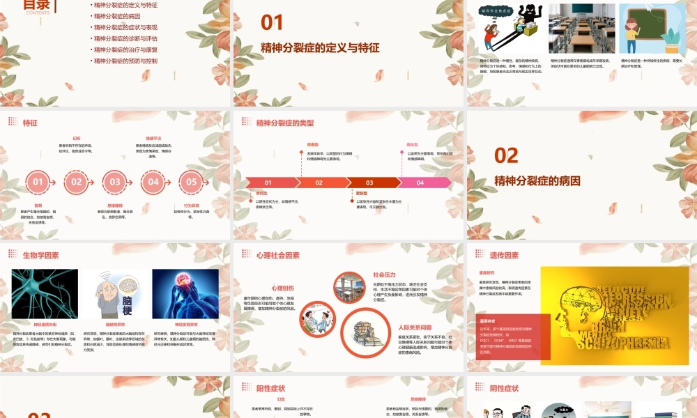 精神分裂症之一概述课件