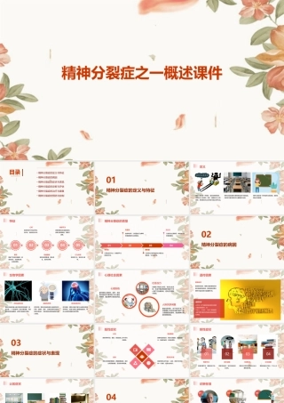 精神分裂症之一概述课件