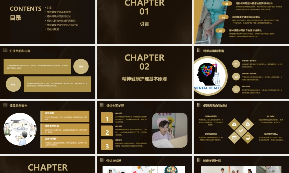 精神健康护理的基本原则与实践