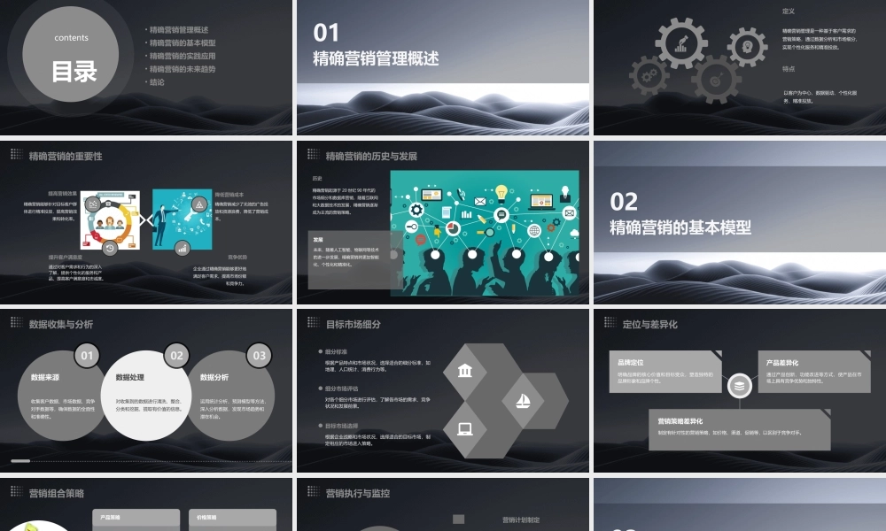 精确营销管理的基本模型课件