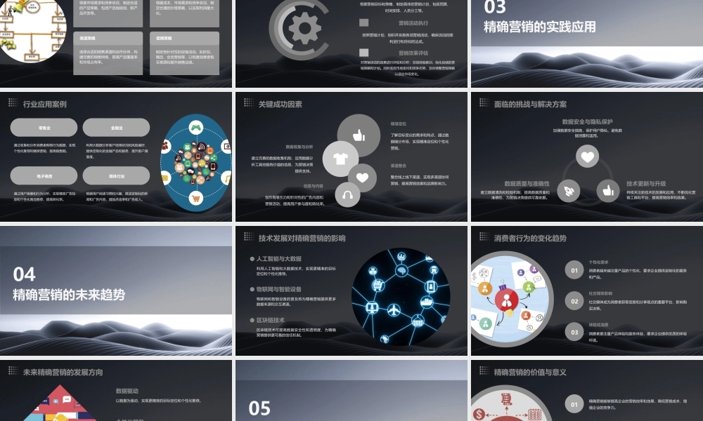 精确营销管理的基本模型课件
