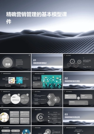 精确营销管理的基本模型课件