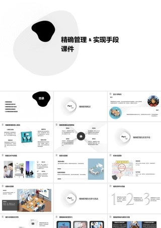 精确管理﹠实现手段课件