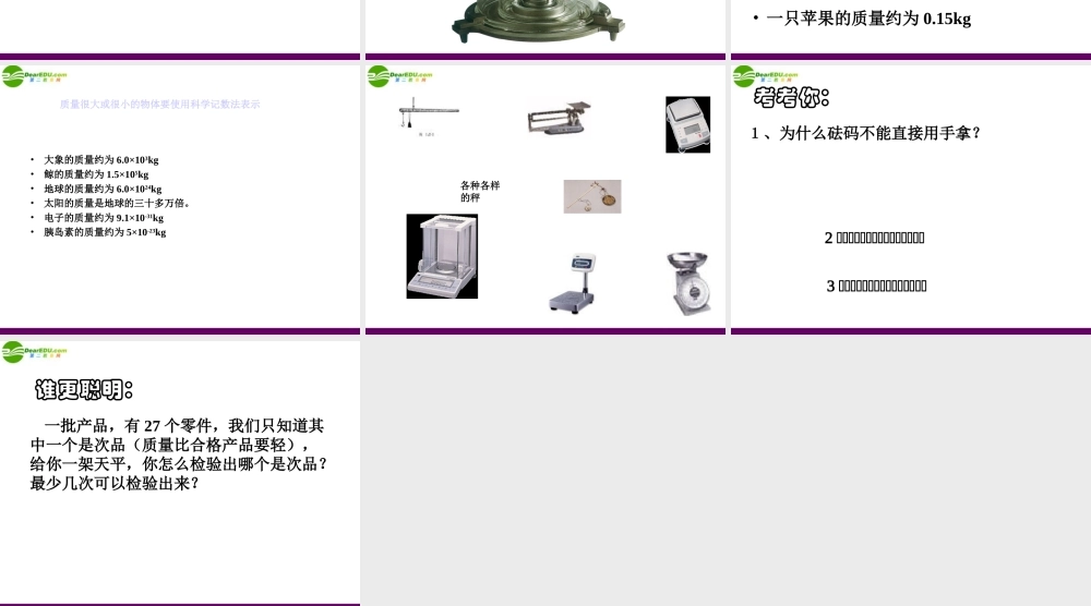 七年级科学上册 第五节 质量的测量课件 浙教版 课件