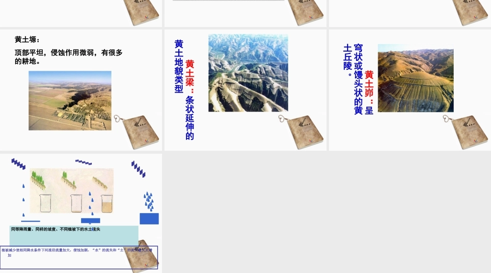 八年级地理下册 沟壑纵横的特殊地形区——黄土高原课件 人教新课标版 课件