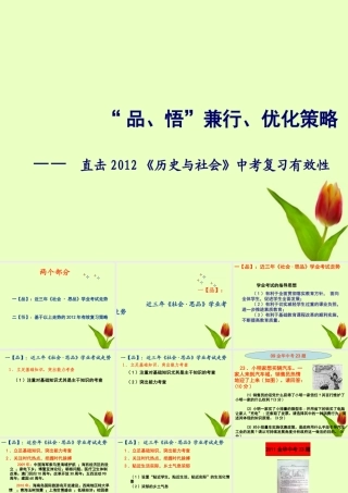 中考历史 (品 悟兼行) 优化策略-直击(历史与社会)复习有效性课件