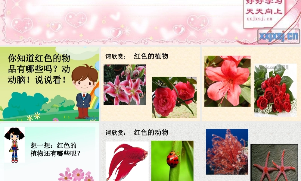 小班语言《这是什么红》课件