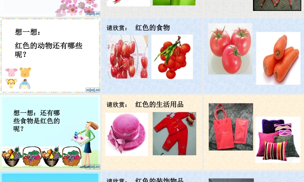 小班语言《这是什么红》课件