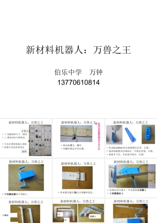 新材料1万兽之王