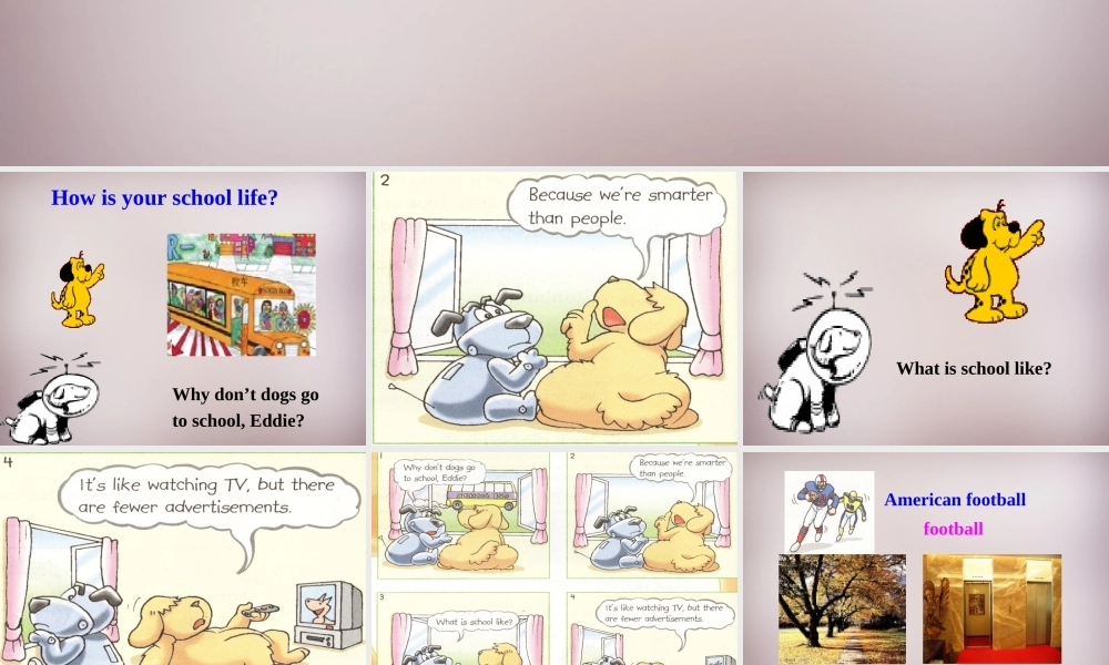 八年级英语上册 Unit 2 School life Comic strip Welcome to the Unit课件 牛津版 课件